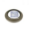 DT 5.30105 Shaft Seal, wheel hub